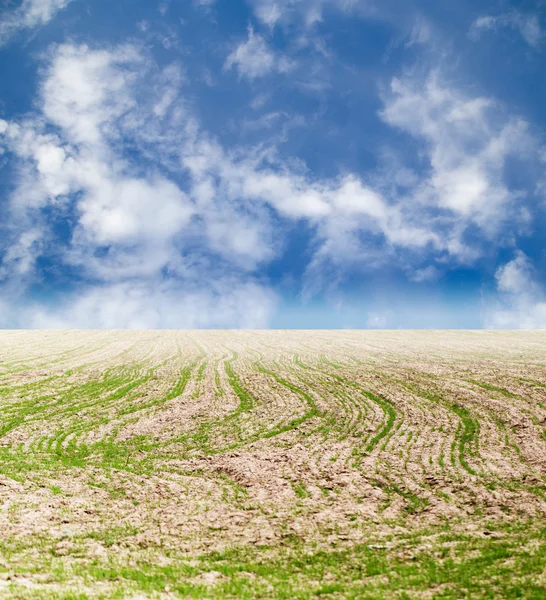 Achtergrond — Stockfoto