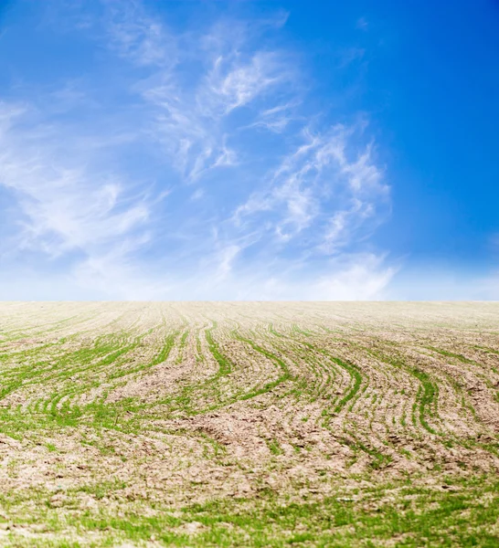 Contesto — Foto Stock