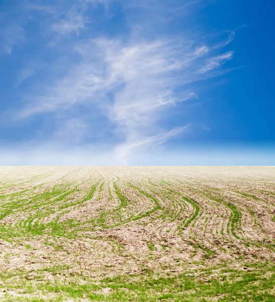 Hintergrund — Stockfoto