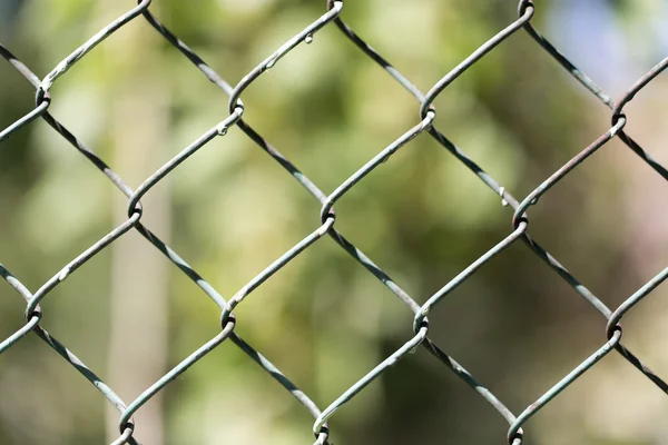 Natuur — Stockfoto