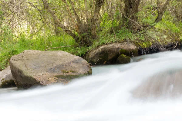 Nature — Stock Photo, Image