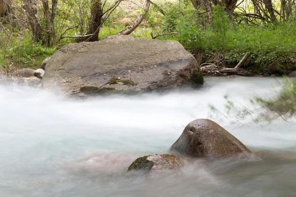 Nature — Stock Photo, Image