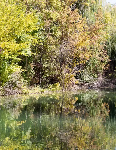 Natur — Stockfoto