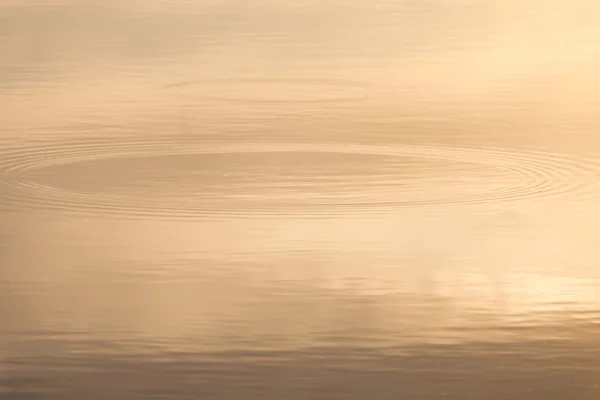 Natuur — Stockfoto