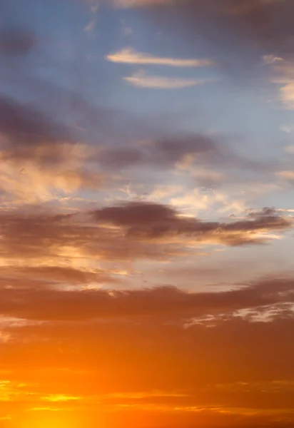 Natuur — Stockfoto