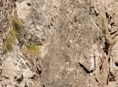 Doğa