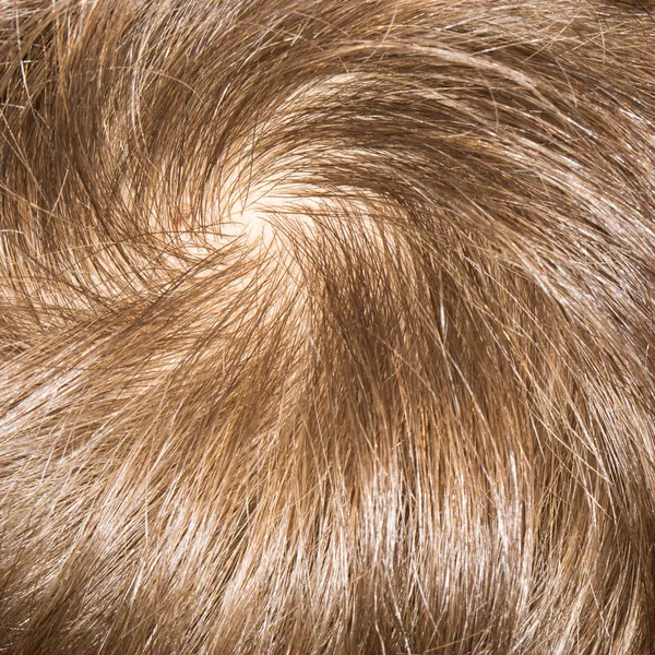Vzorek vlasů — Stock fotografie