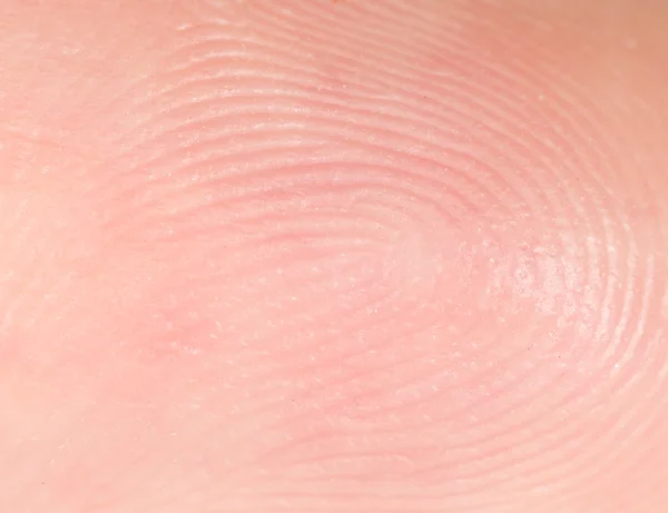 Супермакрос пальца — стоковое фото