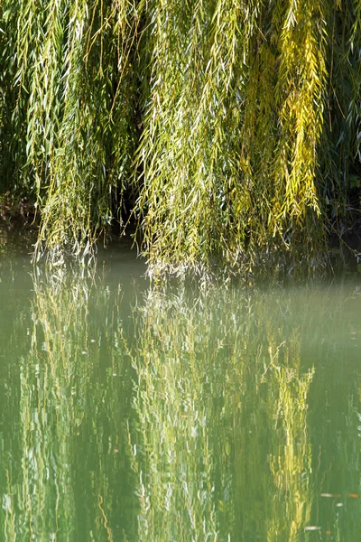 Naturaleza —  Fotos de Stock