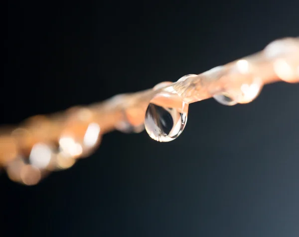 Naturaleza — Foto de Stock