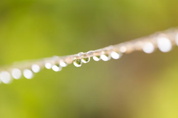 Natuur — Stockfoto