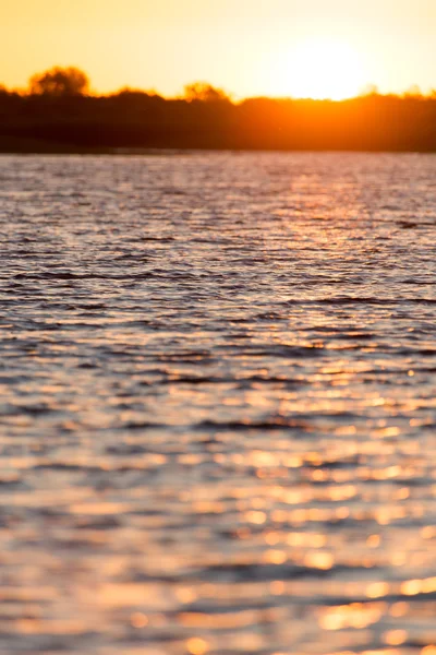 Naturaleza — Foto de Stock