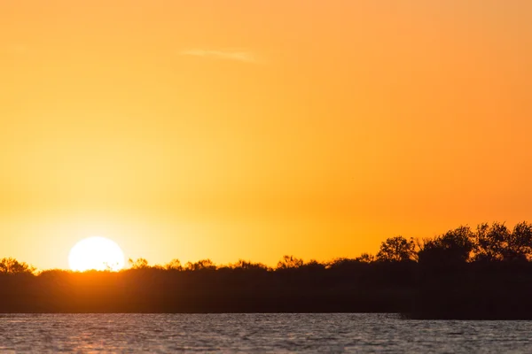 Naturaleza — Foto de Stock