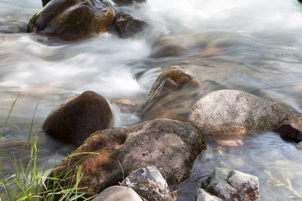 Natuur — Stockfoto