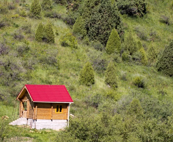 Naturaleza — Foto de Stock