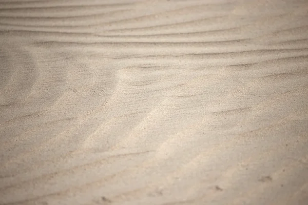 Naturaleza — Foto de Stock