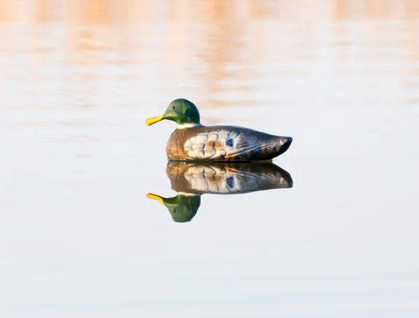 Natureza — Fotografia de Stock