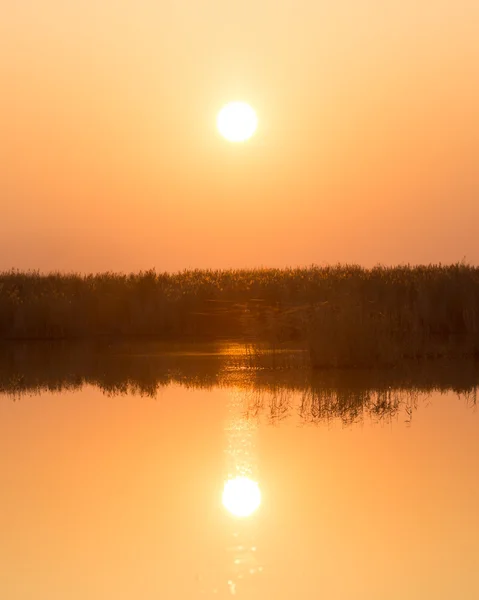 Doğa — Stok fotoğraf