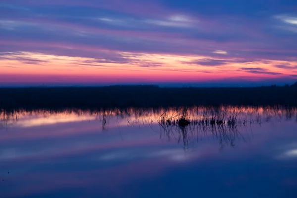 Naturaleza — Foto de Stock