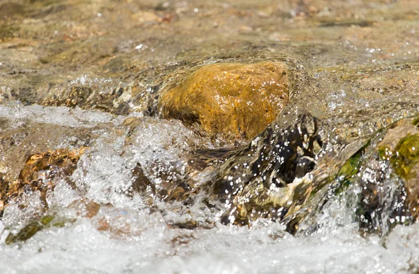 Nature — Stock Photo, Image