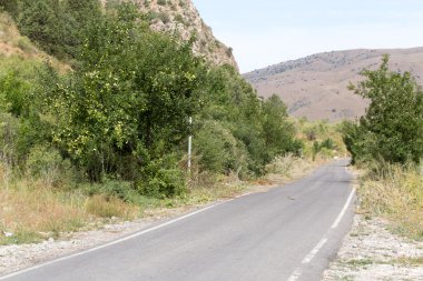 Doğa