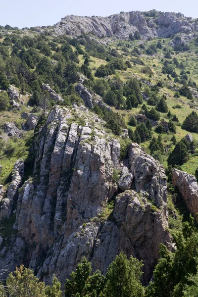 Natuur — Stockfoto