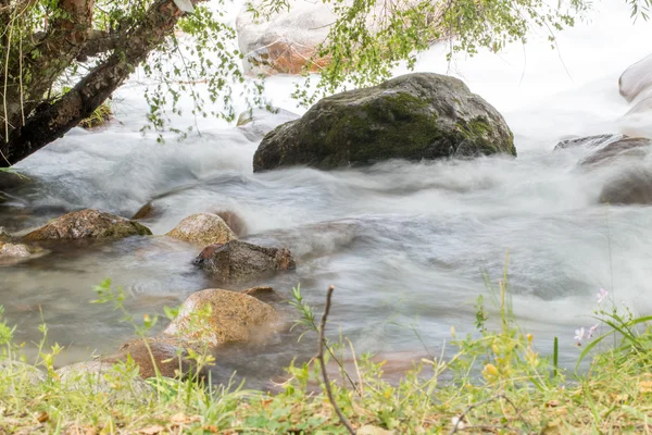 Nature — Stock Photo, Image