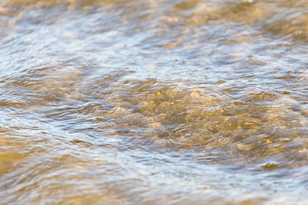 Naturaleza — Foto de Stock