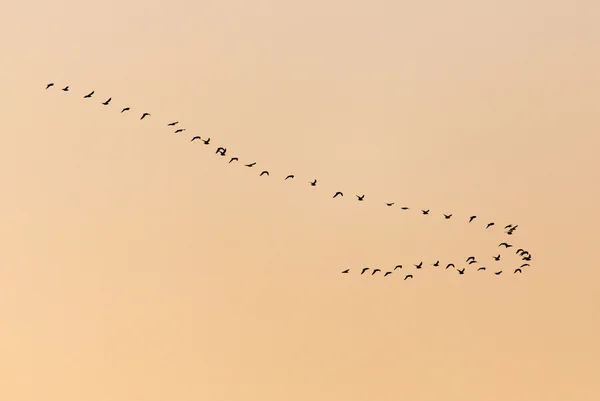 Natura — Fotografie, imagine de stoc