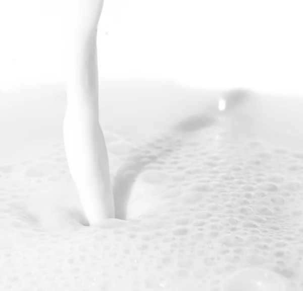 White milk — Stock Photo, Image