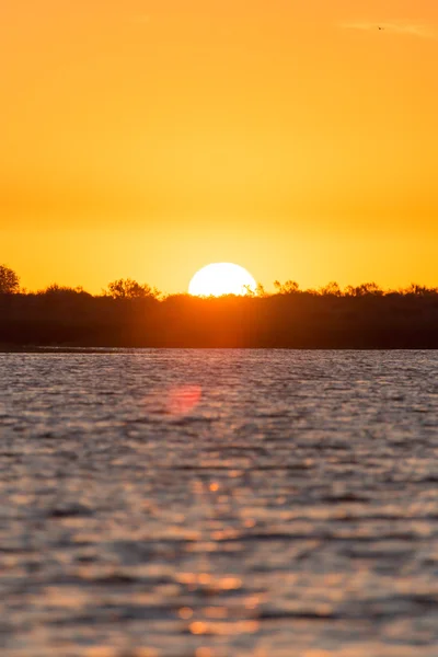 Nature — Stock Photo, Image