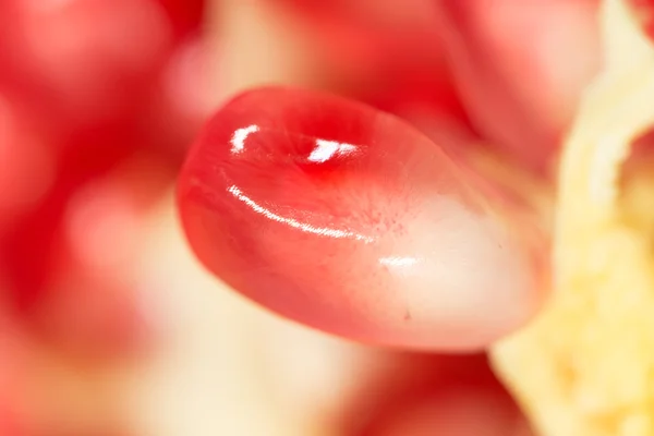 食べ物 — ストック写真