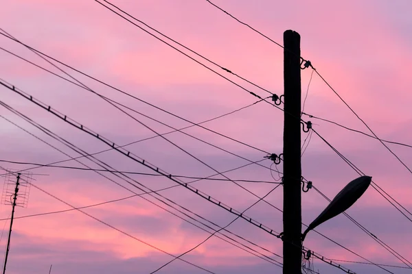 Stromkabel bei Sonnenuntergang — Stockfoto