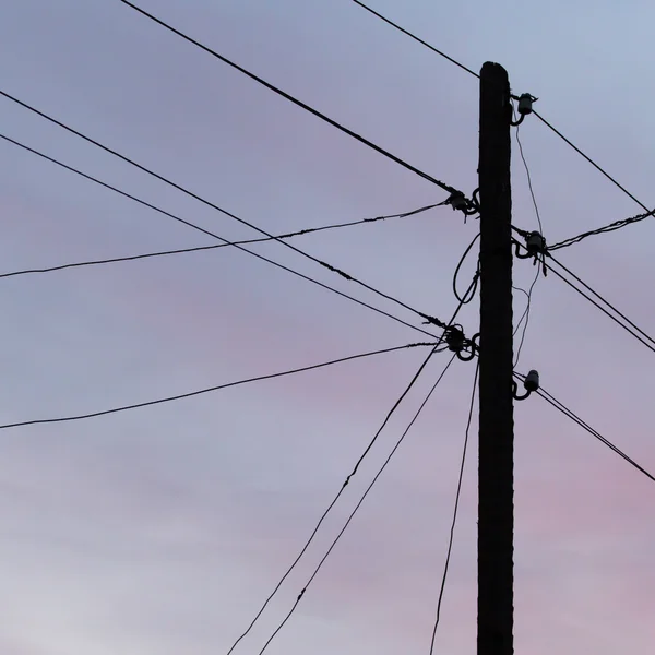 Electric wires at sunset — Stock Photo, Image