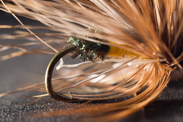 Fly fishing — Stock Photo, Image