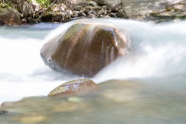 Naturaleza — Foto de Stock