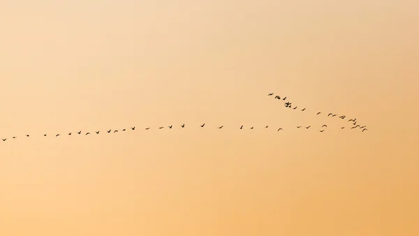 Naturaleza —  Fotos de Stock