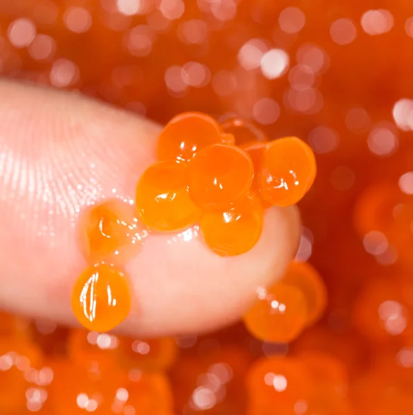 食べ物 — ストック写真