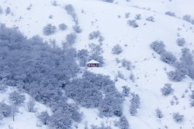 Doğa