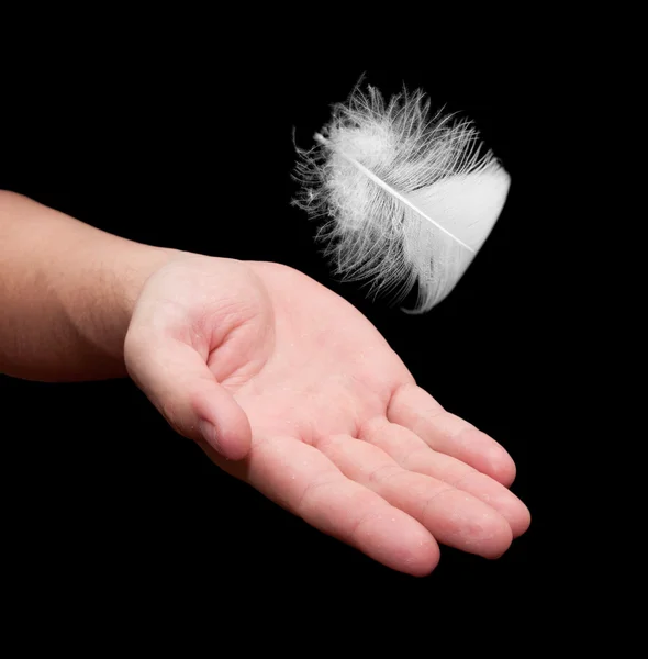 Hand and White feather  isolated on black background — Stock Photo, Image