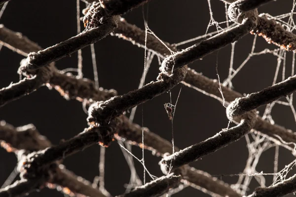 Hintergrund — Stockfoto