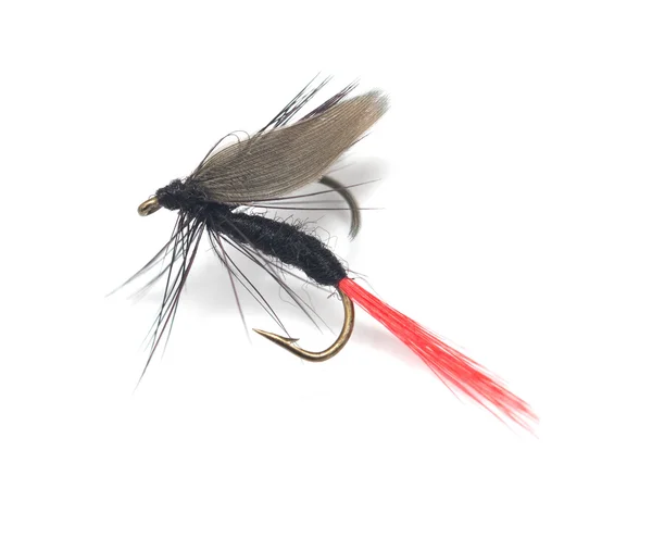 Balıkçılık için fly — Stok fotoğraf