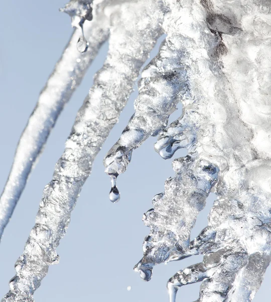 Nature — Stock Photo, Image