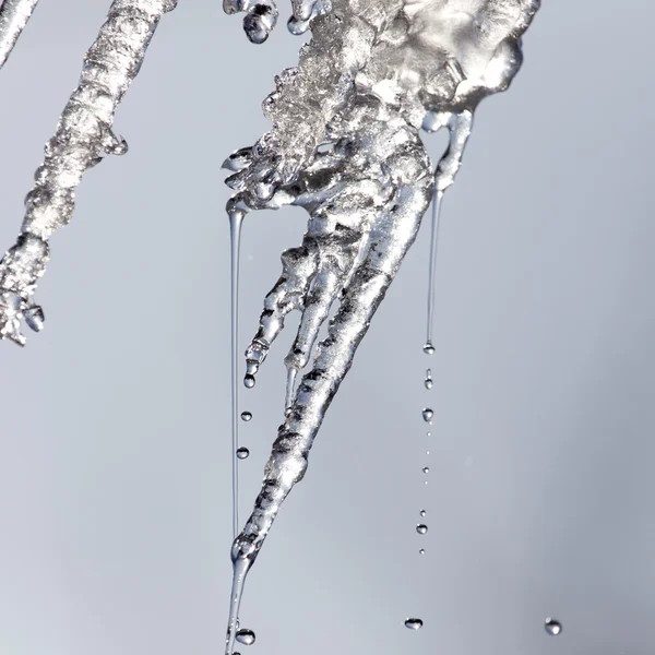 Natur — Stockfoto