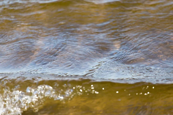 Naturaleza — Foto de Stock