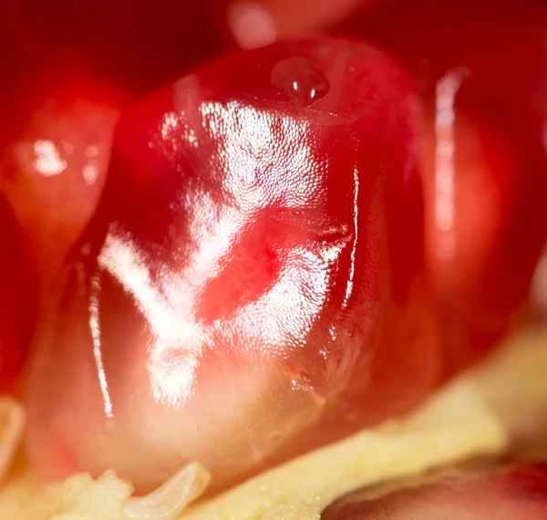 食べ物 — ストック写真