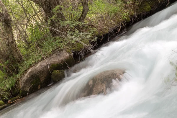 Nature — Stock Photo, Image