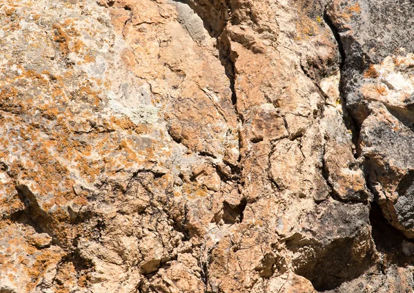 Hintergrund — Stockfoto