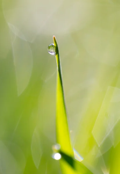 Natuur — Stockfoto