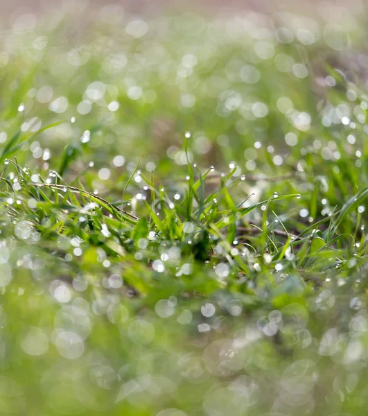 Naturaleza —  Fotos de Stock